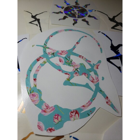 10 Dave Matthews Band decals - Picture 4 of 5
